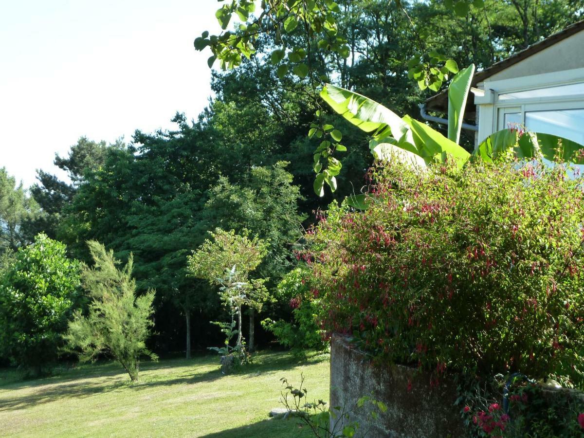 Bed and Breakfast En Rouge et Noir à Monbazillac Extérieur photo